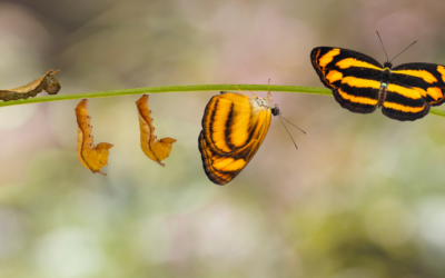 How to Deal With Change, Good and Bad