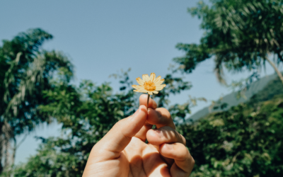 Living Beyond Perceptions: A Guide to Personal Growth