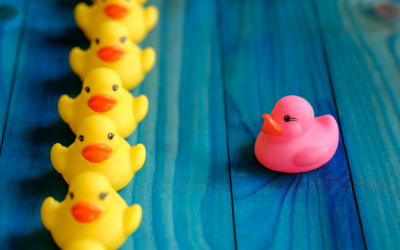 The Art and Essence of Change