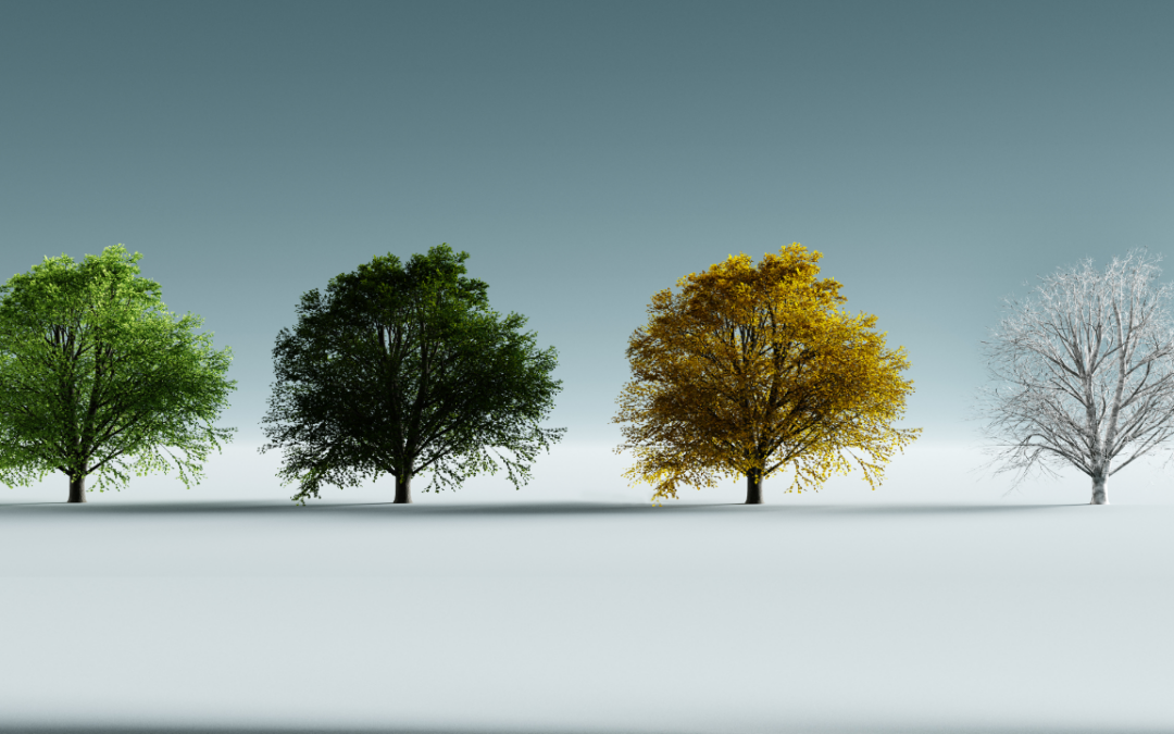 Understanding The Four Seasons of Change