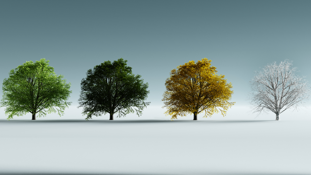 Understanding The Four Seasons of Change