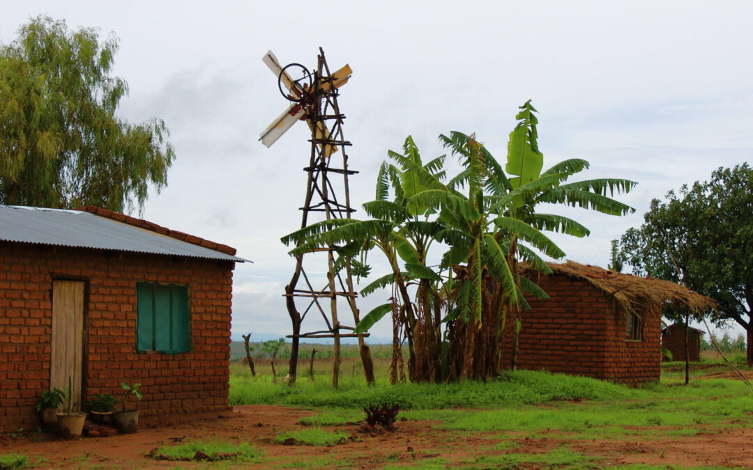 From Setbacks to Success: The Story of a Boy Who Harnessed The Wind